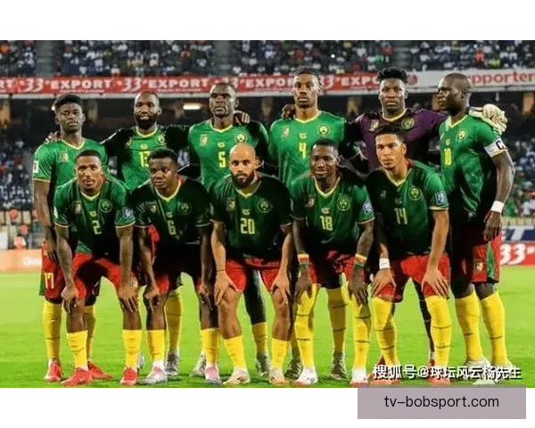 聚焦2026世界杯参赛球队格局与各洲强队晋级前景全景观察深度