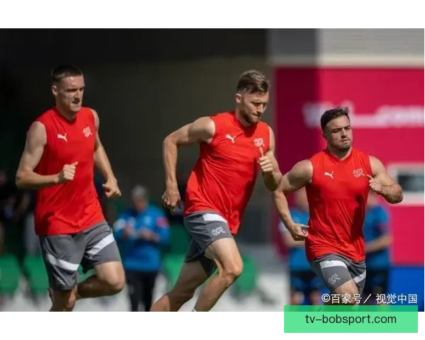 世界杯竞猜赔率变动趋势分析与球队表现关系探讨